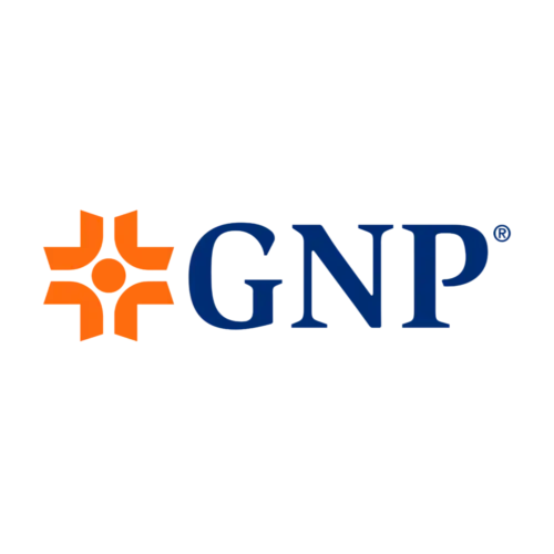 gnp_prev_ui